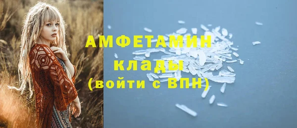 твердый Инта