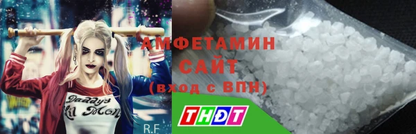 твердый Инта