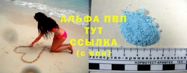 твердый Инта