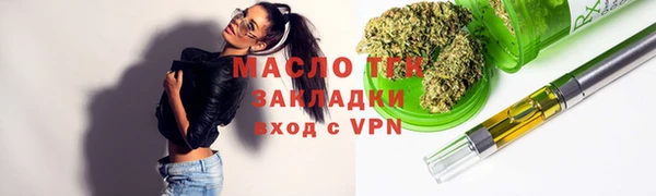 твердый Инта