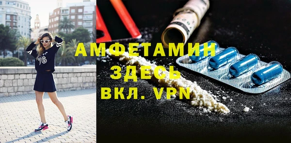 твердый Инта