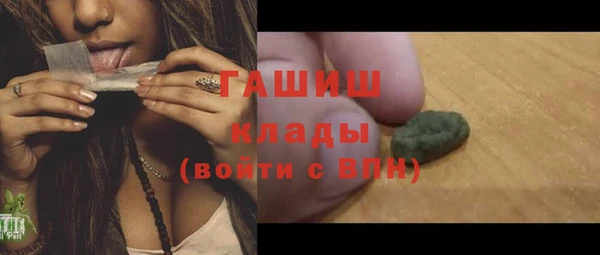 твердый Инта