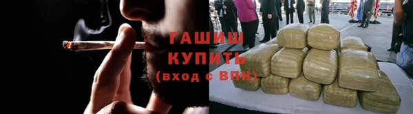 твердый Инта