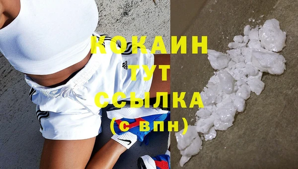 твердый Инта