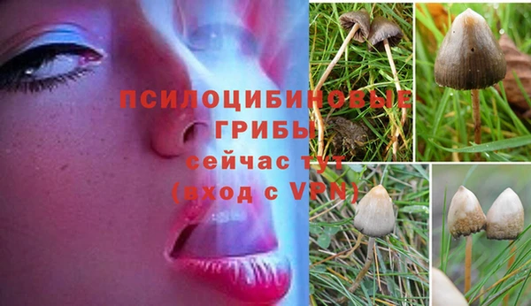 меф VHQ Инсар
