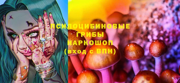 твердый Инта