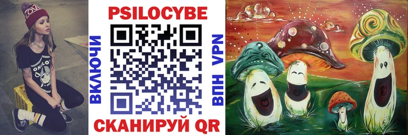 Галлюциногенные грибы мухоморы  Купить закладки  Пучеж 
